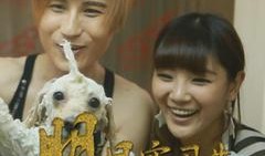 吃瓜看剧原声在线听免费,尽在在线音乐盛宴