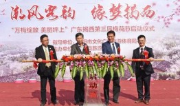 揭西今日河山爆料,今日爆料聚焦地方发展新动态