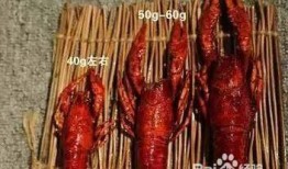 四川小龙虾爆料视频播放,视频播放量惊人，揭秘美食背后的故事